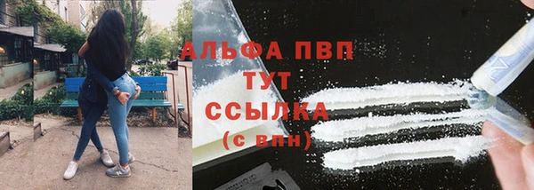 сатива Балахна